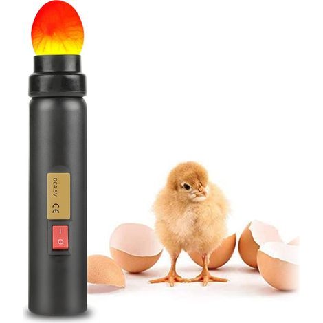 LED-Lampe mit EU-Stecker und Eierentwicklungsüberwachung, 220 V, für Hühnereier und Brutmaschinen (1/5)