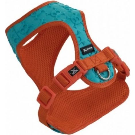 Blaue Schdelschdel sind 30 cm x 35-45 cm