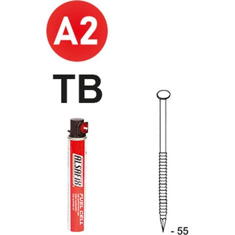 2 200 Pointes Annelées Inox Tb en Bande 34° (Pack) - 2.8x55 mm + 2 Cartouches de Gaz Rouge - D-Work