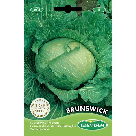 graines Chou blanc BRUNSWICK