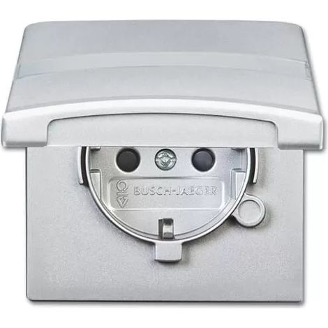 Busch-Jaeger Schuko-Steckdoseneinsatz IP44 alusilber 20 EUGKBN-33-101 (1/2)