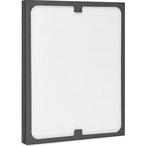 1 filtre HEPA véritable pour les modèles de filtres à particules des séries 200/300 : 201, 203, 203 Slim, 205, 210b et 215b.-AquaForge (1/4)