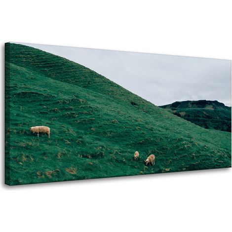 Leinwanddruck Naturweide in den Bergen 80x40