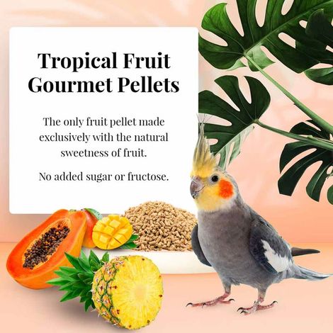 Lafeber Gourmet Pellets - Frutta Tropicale - Calopsitta - Alimento bilanciato: granuli di frutta per calopsitte 567 g (1/4)