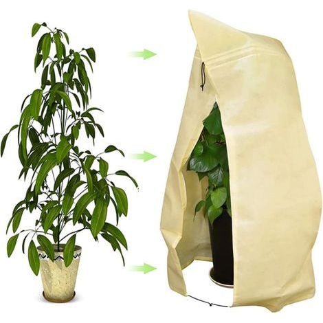 Hivernage pour Plantes, Housse de Plante, Housse de Protection pour Plante Non Tissée Protection Contre Le Gel des Plantes en Pots et Rosiers (120 x 180CM) (1/5)