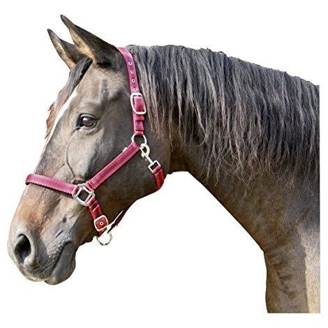 Kerbl Cabazada Horse Mustang, nylon, doppia regolazione, rosso, taglia 1 (1/2)