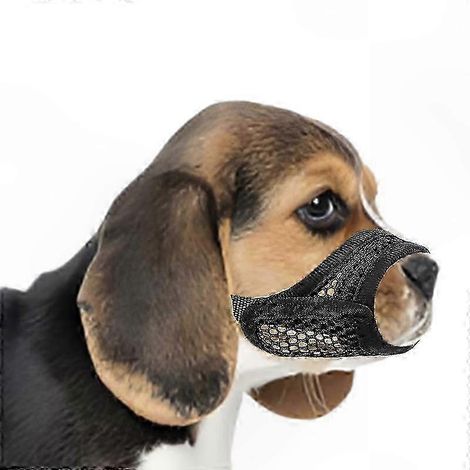Muselière chien museau court petites et moyennes races anti-morsure concentration brachycéphales Chihuahua Poméranien bouledogues (1/5)