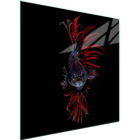 PLACA PROTECTORA DE VIDRIO PARA ESTUFA 50x52 PESCADO (1/5)