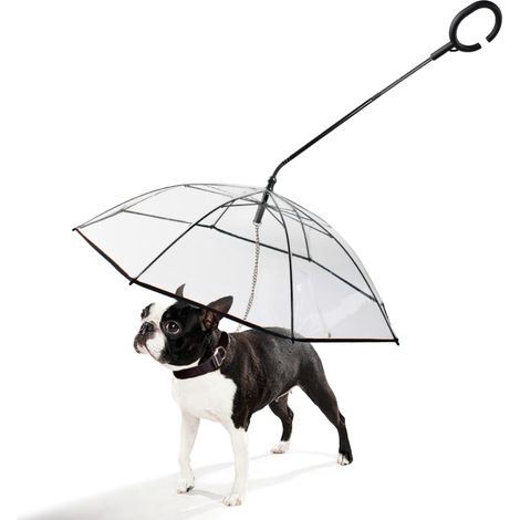 Paraguas para perros con correa y cubierta transparente para perros pequeños y medianos en caso de lluvia o nieve. (1/5)