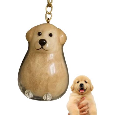 Llavero conmemorativo para recoger pelo de perro, botella conmemorativa con forma de perro, cápsula para recoger pelo de mascota, recuerdo de cremación (Golden Retriever)