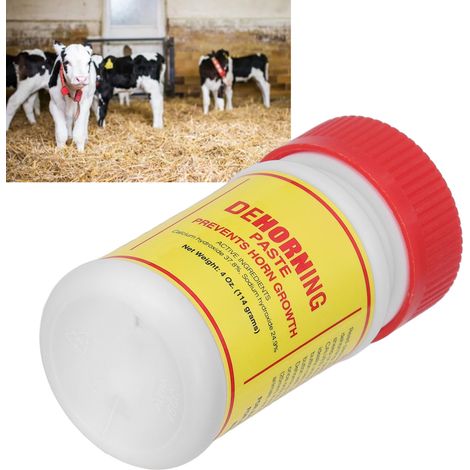 Enthornungspaste für Rinder – 148-g-Flasche (4,5 x 4,5 x 8,5 cm) – Schnittfreie Anwendung für mehr Sicherheit von Tier und Ausrüstung (1/5)