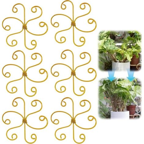 Support de Tronc Monstera réutilisable - Stabilisateur réutilisable pour Monstera - 6 Accessoires pour (1/4)