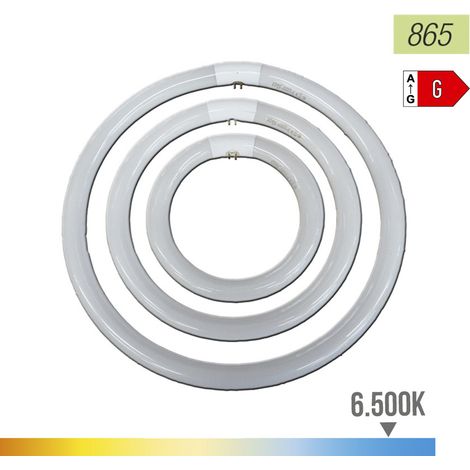 Tubo Fluorescente Circular 22W Ø21cm LuzFría 6500K 1250lm Mate ClaseEnergéticaG Philips (1/5)