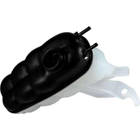 Vase d'expansion de radiateur (références 84368362 et 22856231) pour Cadillac Escalade, Chevrolet Silverado, Suburban et GMC Sierra (1/5)