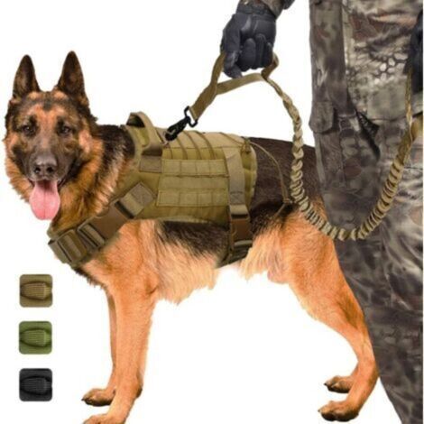 Militaire Tactique Chien K9 Chien De Travail Gilet en Nylon Bungee Laisse Service Chien Formation Militaire Chasse pour Medium Gros Chiens (1/4)