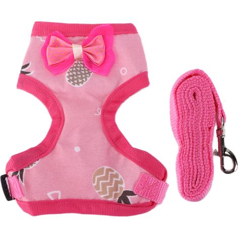 Laisse pour poule de compagnie, harnais ajustable et laisse d'entraînement pour promenades en rose (1/5)