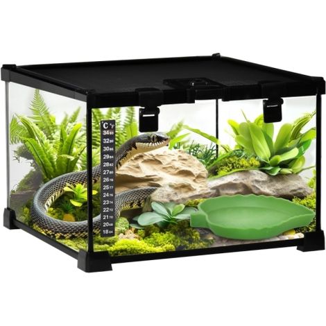 Small Glass Reptile Terrarium 30x30x20cm for Lizards,Snakes,and Spiders with Thermometer-Ideal Insect Breeding Habitat (1/5)