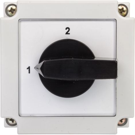 Nockenschalter 1-2 1P 10A im Gehäuse 4G10-54-PK R014 63-840347-011