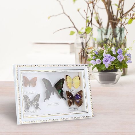 Exquisite Schmetterlinge Insektenpräparat Bastelgeschenk Geburtstagsgeschenk Heimdekoration Ornament (Weißer Rahmen) (1/5)