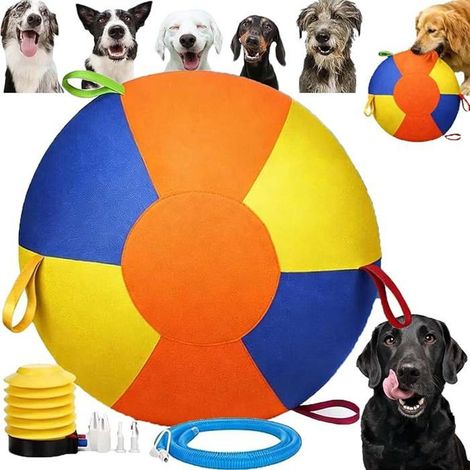 Balle géante pour chien 55 cm (22") - Anti-déchirure avec poignée et pompe - pour exercice, dressage et extérieur (1/4)