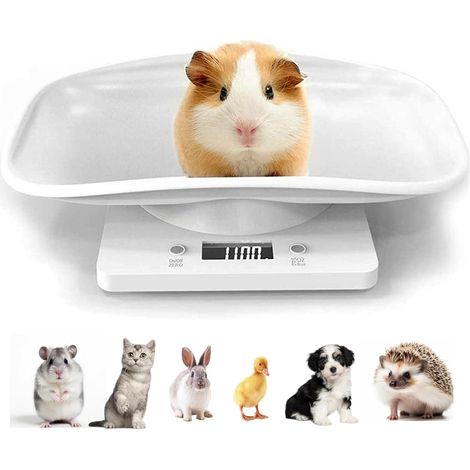 Balance électronique pour petit animal avec écran LCD, 4 modes de pesée, idéale pour chats, chiens, cobayes, hamsters et cuisine, capacité max 15kg/33lb. (1/5)