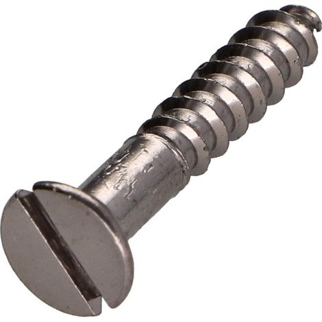 Vis bois Laiton chrome Tête fraisée Fendue 5X20-1 pièce (1/3)