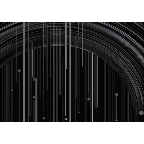 Papier peint mural abstrait noir blanc intissé grand format design intérieur salon chambre pas cher 150x105 cm (1/5)