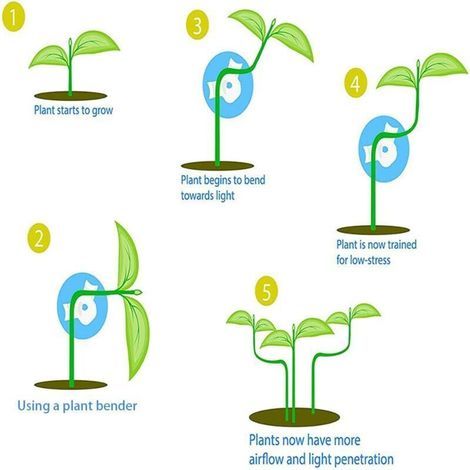 20 Pièces Cintre Plante 360 Degré Réglable Outil Modélisation Branche DIY Jardin Vignes Fleurs (1/3)