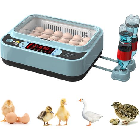Jeffergarden Incubateurs d'ufs pour ufs à couver Fahrenheit avec tourneur automatique Incubateurs de poulet Incubateurs de volaille de ferme (1/5)