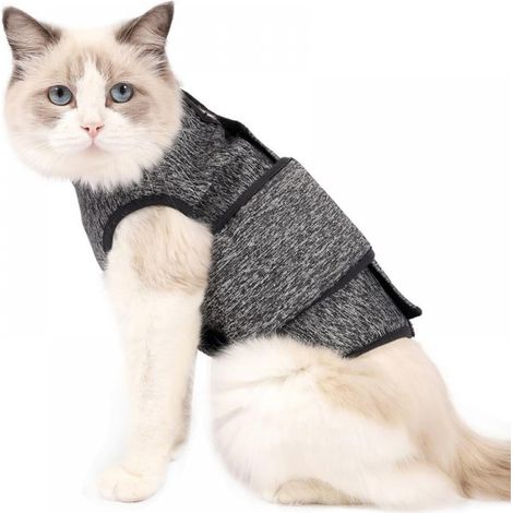 Combinaison Post-opératoire Pour Chien Et Chat - En Polyester Élastique - Anti-léchage Et Protection Des Plaies - Tailles S M L (1/5)