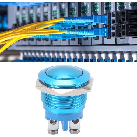 Interrupteur à bouton-poussoir sphérique en métal de 16 mm, entièrement anodisé, à réarmement automatique, interrupteur à vis de réglage, 220 V, bleu. (1/5)
