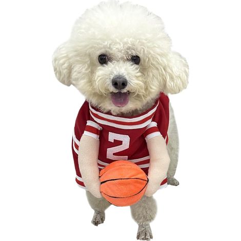 Basketball Dog Costume, Halloween Dog Costume, Funny Pet (1/5)