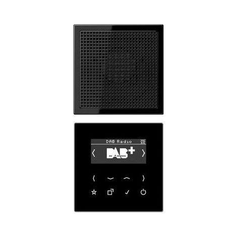 Jung Radio inteligente DAB+, set mono 1 vía, serie LS, negro DAB LS1 SW