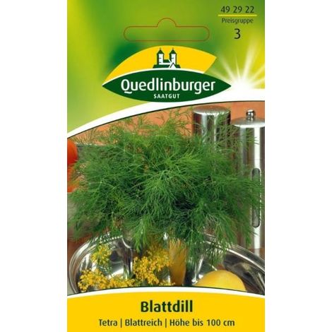 Quedlinburger Blattdill Tetra - Kräutersamen (1/2)