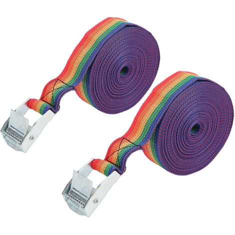 Sangle d'arrimage réglable en zinc et fer avec boucle à cliquet et came à dégagement rapide, 3 m / 9,8 pi