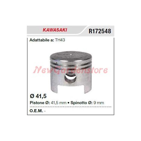 Pistone segmenti spinotto KAWASAKI decespugliatore TH43 172548