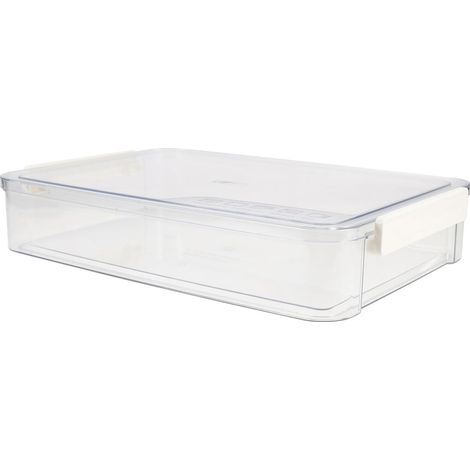Aufbewahrungsbox aus Pet und Abs mit Griff für Ordentliche