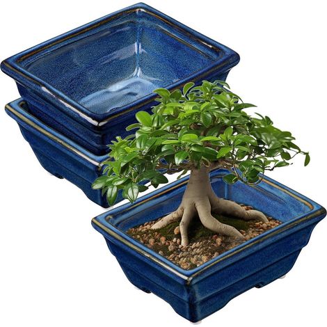 2er Set Keramik Bonsai Töpfe mit Entwässerungsloch, flache Pflanzschalen Blau (1/5)