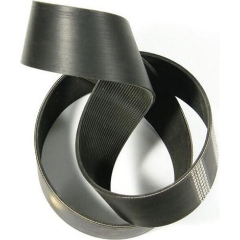 Cinghia piatta seminatrici UNIVERSALE 10219089N