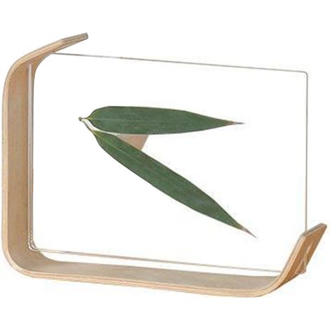 Cadre photo de bureau en bois et acrylique, simple et moderne, pour spécimen de plante. Décoration de bureau et d'intérieur. (1/5)
