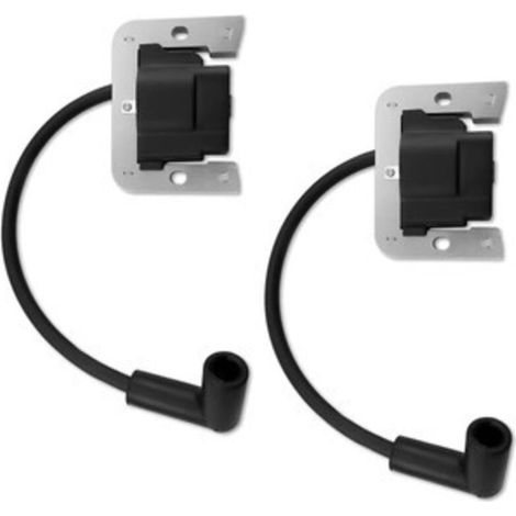 Kit de 2 Bobines d'Allumage Compatible avec 32-707-01-S, 25-707-03-S, 3270701 (1/3)