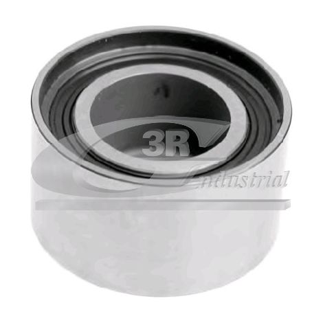3RG 13213 RODILLO TENSOR