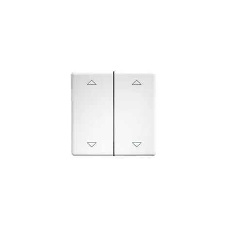 DW-FT55-rw+2P Eltako Doppel-Schalterwippe (1/2)