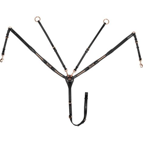 Cob, Nero: Ledergabel Vorderzeug Modell Snaffle Rose Gold mit rose gold fillets (1/5)