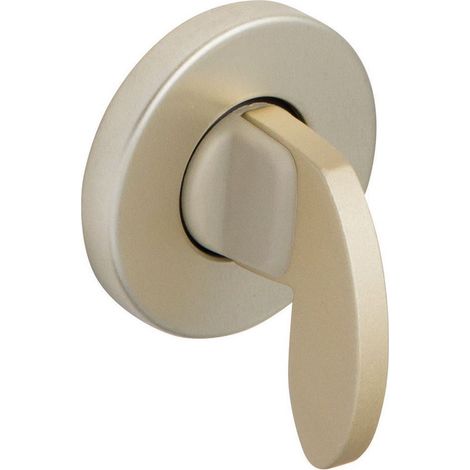 Jeu de rosace 6600 type condamnation finition champagne - VACHETTE - 12595