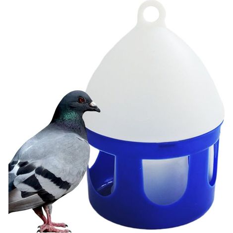 Pigeon Waterer. abreuvoir pour gros oiseaux. 2 l. amovible.