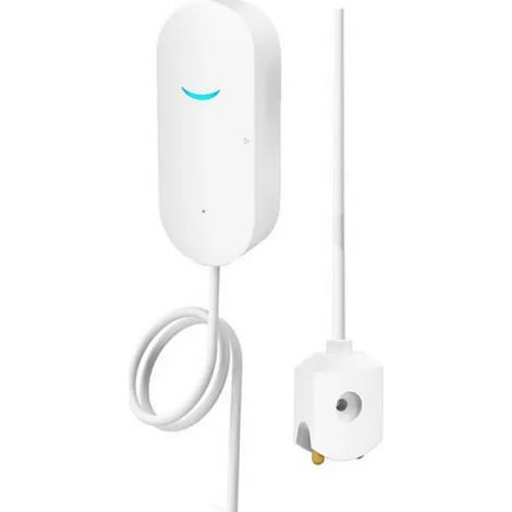 Détecteur fuites d'eau Wi-Fi intelligent TUYA - Alerte via appli, surveillance distance maison