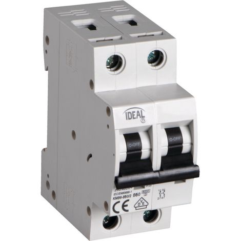 Interruttore modulare 2P - 50A - Curve B - Rail TH35 - IP20 (1/2)