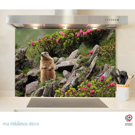 Fond de hotte : Marmotte - Alu composite - 70 cm - 60 cm (1/5)