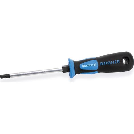 Dogher 321-HX050-100 DEST. IND CrMo HEX 5X100 (1/2)